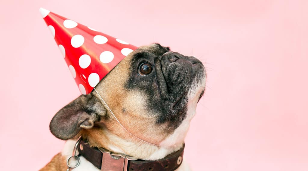 Blog05 Free Img